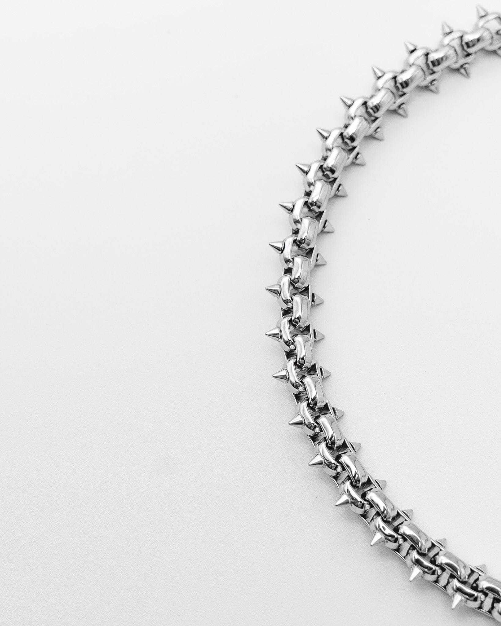 DSC04427_2048x.jpg?v=1761587934